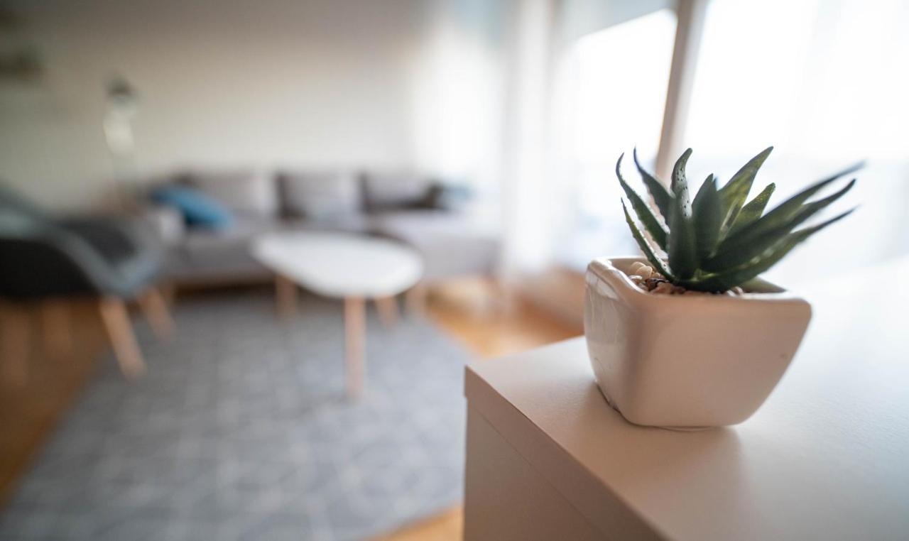 Appartement Destination Senja - Stonglandseidet Extérieur photo